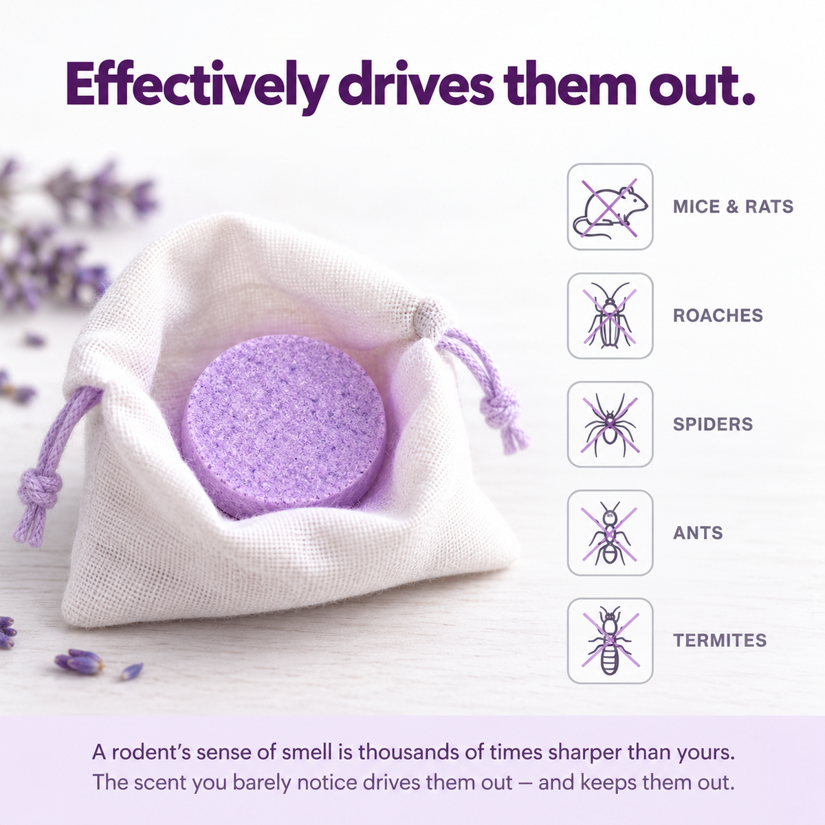 breathair Evict